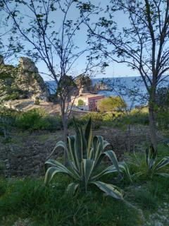 macchia mediterranea - Castellammare del Golfo - 1