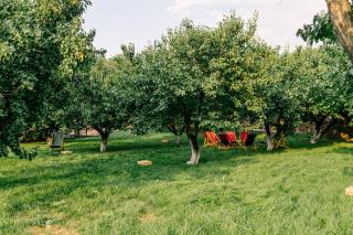 Tea Lodge Summer Place - - 3