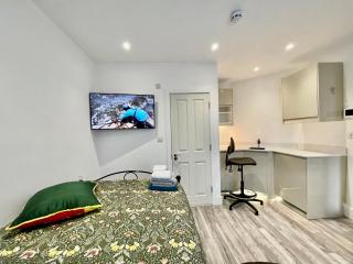 Luxury Villa, 6 En-suite Bedrooms - For Guest non-House Rules Breakers ONLY - West London - Wembley Stadium 5KM - Harrow on the Hill - 5