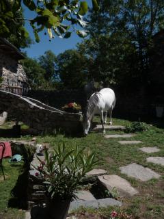 B&B Bio et écolo du Besset - Yssingeaux - 7