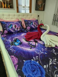APARTMENt ANAYA - Bovec - 8