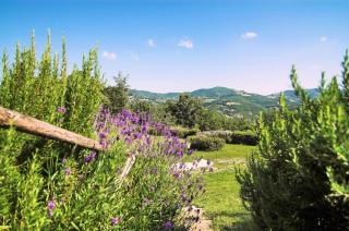 Agriturismo La Castellana - 4