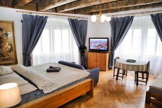 At the Blue Lion & Parking Assistance - Praga - 7