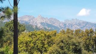 Clos Jeannette Villa près de la plage de Pinarelle et des piscines naturelles du Cavu - 8