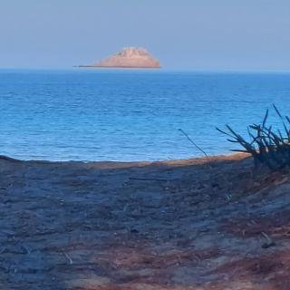 Clos Jeannette Villa close to Pinarelle beach and cavu natural pools - Zonza - 4