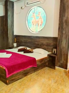 Panchmarhi Deluxe Stay - Pachmarhī - 5