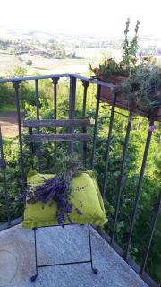 Monferrato vini castelli - 4