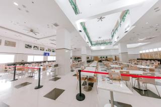 Toyoko Inn Cebu - Città di Cebu - 5