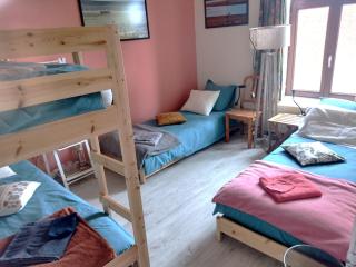 Au Randonneur - B&B - Thuin - 9