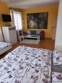 Paradise villa apartment - Praga - 5