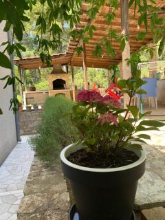 Guest House Alek - 9