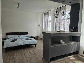 Ganze Ferienwohnung - Apartment to rent - Hohenstein-Ernstthal - 5