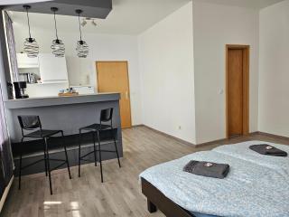 Ganze Ferienwohnung - Apartment to rent - Hohenstein-Ernstthal - 6