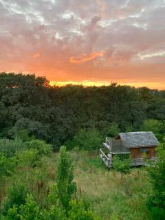 La Cabane le Cœur de Xanet - Bassussarry - 2
