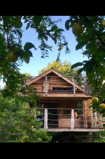 La Cabane le Cœur de Xanet - Bassussarry - 1