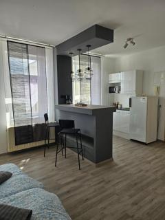 Ganze Ferienwohnung - Apartment to rent - Hohenstein-Ernstthal - 7