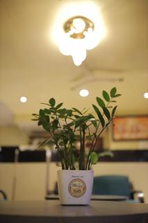 HOTEL KB's Grand - Shirdi - 1