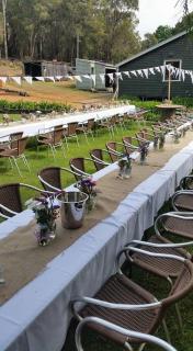 Wellington Forest Cottages & Bar - 2