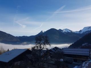 Comfort and nature - Ideal stay 200m from slopes - Saint-Jean-dʼAulps - 9