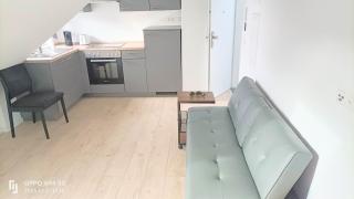 FMI26 Luxus Apartments - Rüsselsheim am Main - 0
