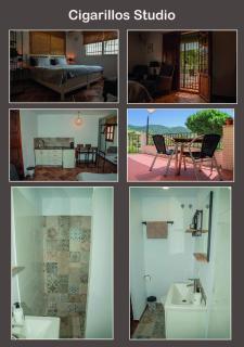 El bufon de la corte - 7