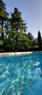 Villa Carrara Salvadori - Grezzana - 5