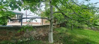 Lake Breeze Guest House - Cholpon-Ata - 5
