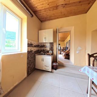 Qristina's Guesthouse - Mestia - 4
