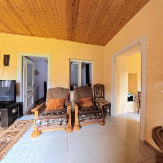 Qristina's Guesthouse - Mestia - 3