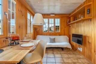 Mountainview Fireplace & Garden Bbq - Axalp - 8
