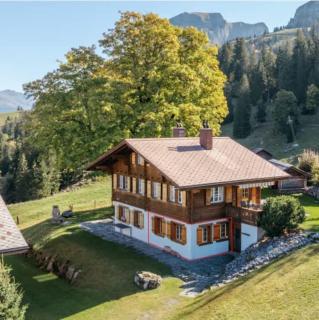Mountainview Fireplace & Garden Bbq - Axalp - 3