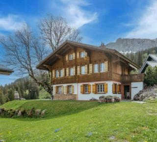 Mountainview Fireplace & Garden Bbq - Axalp - 1