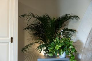 Ortigia Stone's Loft Spa - Syracuse - 9