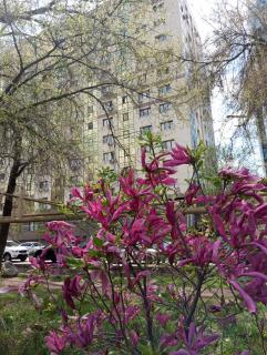 Cozy studio close to Dostyk Plaza - Almaty - 7