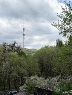 Cozy studio close to Dostyk Plaza - Almaty - 6