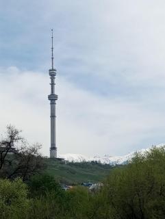 Cozy studio close to Dostyk Plaza - Almaty - 4