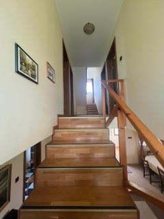 Sfantu Gheorghe Escape - Sfântu Gheorghe - 1