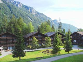 Studio With Mountain View In The Vacation Center - Diemtigen - 4