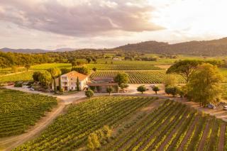 Gîte Mimosa au milieu des vignes - Château les Apiès - Les Arcs sur Argens - 8