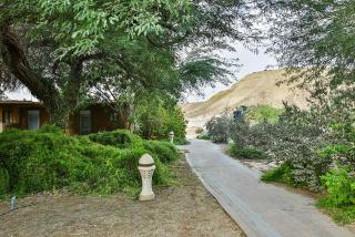Neot-Semadar eco-lodge - Naẖal Ya‘alon - 5