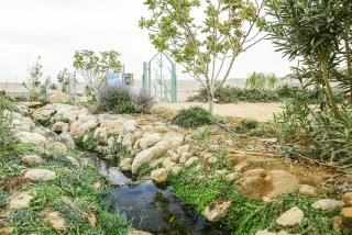 Neot-Semadar eco-lodge - Naẖal Ya‘alon - 4