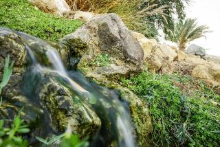Neot-Semadar eco-lodge - Naẖal Ya‘alon - 3