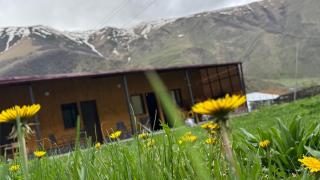Januka Studio - Kazbegi - 6
