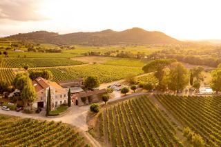 Gîte Mimosa au milieu des vignes - Château les Apiès - Les Arcs sur Argens - 0