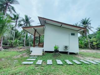 Suanthara kokut - 4