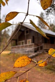 Holiday Cabin Aurora River inc Wilderness Sauna - Levi - 2