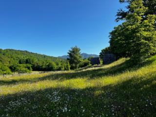 Jatak Cabins and Camping - - 2