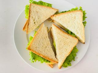 Wilpattu Restaurant & Guest house - 1