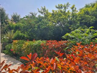 Appartement Alpes Maritimes - Saint-Paul-de-Vence - 8