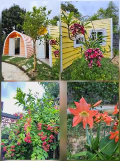 Minh Hầu Lạc Trú Homestay - Ấp Long Hồ Hạ - 3